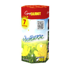 Салют Лютики Салют Лютики