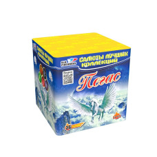 Салют Пегас