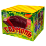 Салют Гармонь