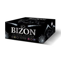 Салют BIZON