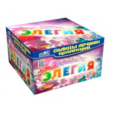 Салют Элегия