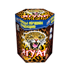 Салют Ягуар