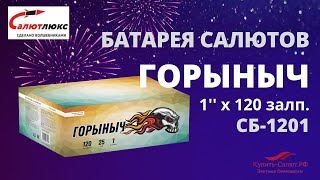 Батарея салютов Горыныч 1"х120 залпов СБ 1201