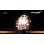Салют VICIOUS FIREWORKS