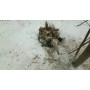 Петарды PITBULL (Корсар 14) 
